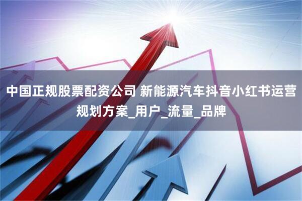 中国正规股票配资公司 新能源汽车抖音小红书运营规划方案_用户_流量_品牌
