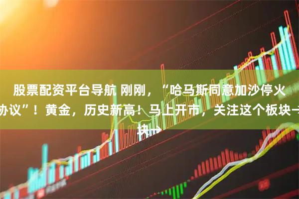 股票配资平台导航 刚刚，“哈马斯同意加沙停火协议”！黄金，历史新高！马上开市，关注这个板块→